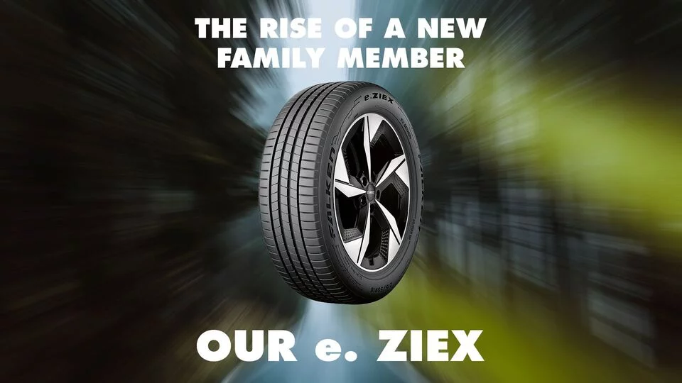 Vista-del-falken-e.-Ziex