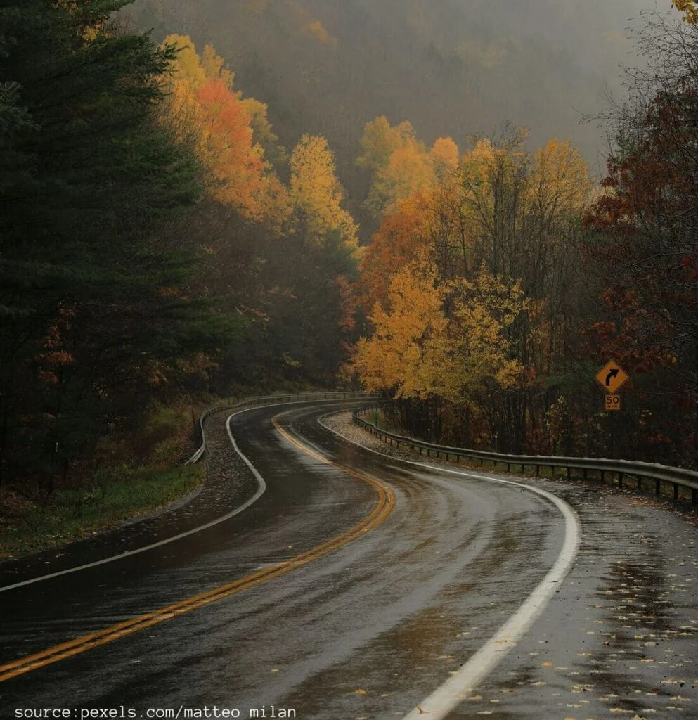 view-wet-road-source-pexels.com-by-matteo-milan